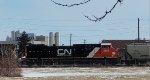 CN 3304